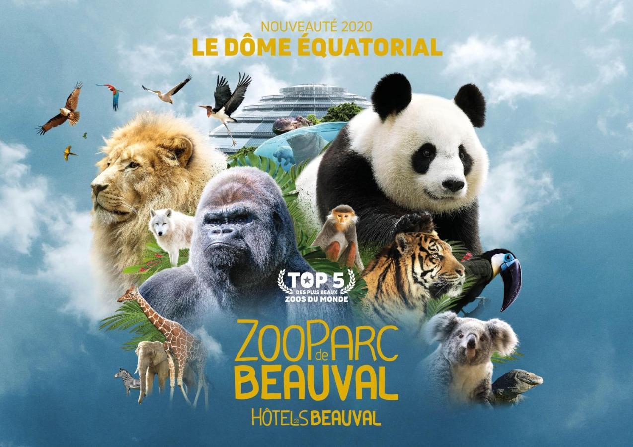 Le Chant Des Oiseaux, 3Km Du Zoo De Beauval, Parking Gratuit ,Wifi Et Netflix Gratuits Saint-Aignan  Exteriör bild